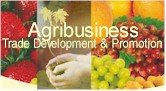 Agribusiness.jpg