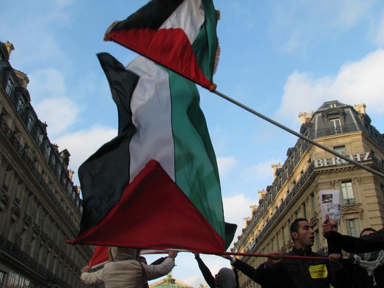 manif_17_drapeaux.jpg