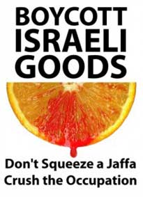 boycott_orange_sanguine-3.jpg