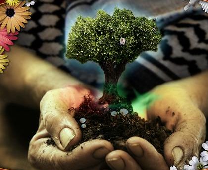 affiche_printemps_palestine.jpg