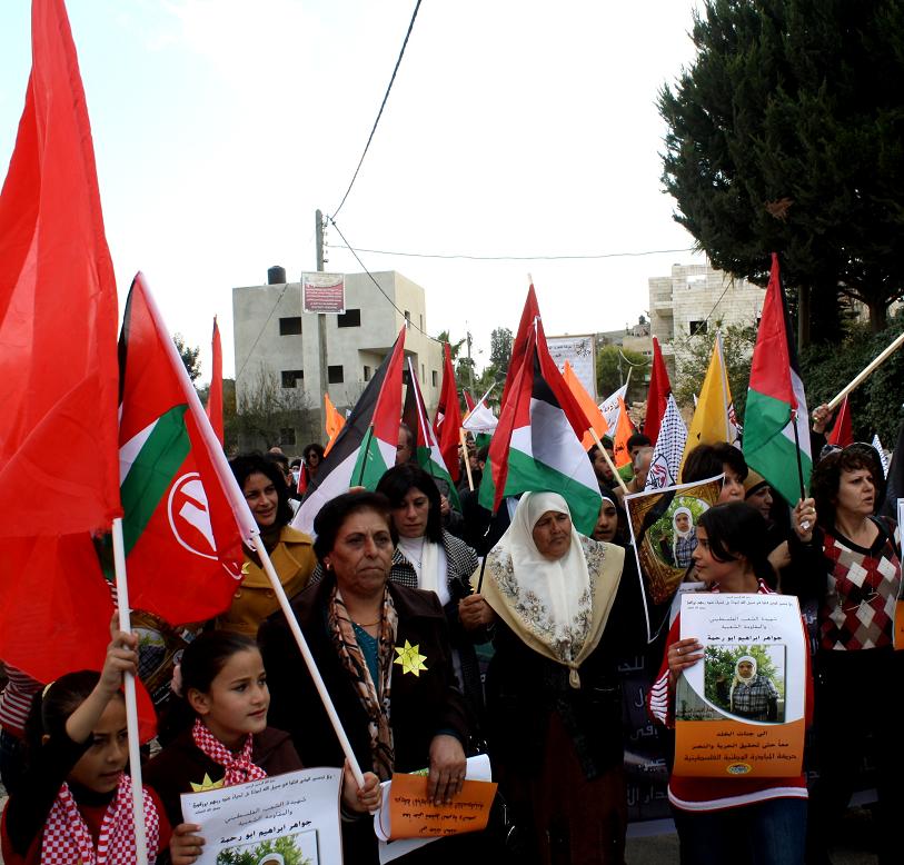 bilin_manif_7_janvier_2011.jpg