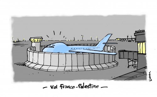 Dessin_Dom_Vol_France-Palestine.jpg