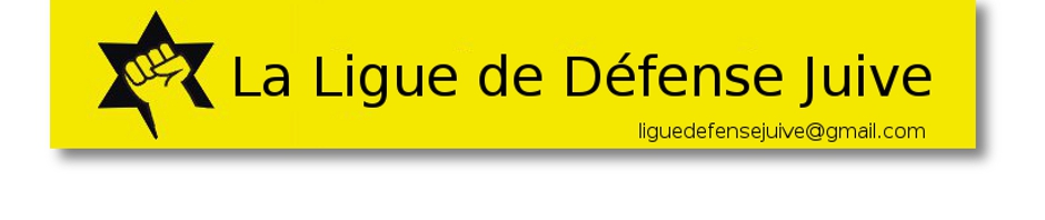 LDJ_LOGO.jpg