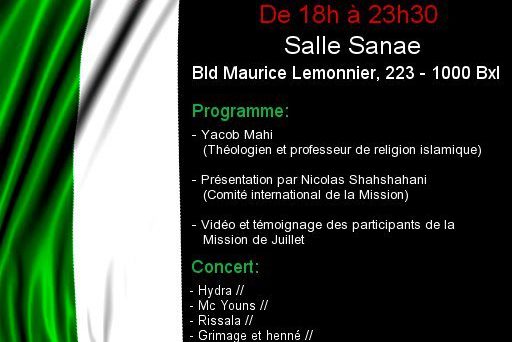affiche_bruxelles_nico.jpg