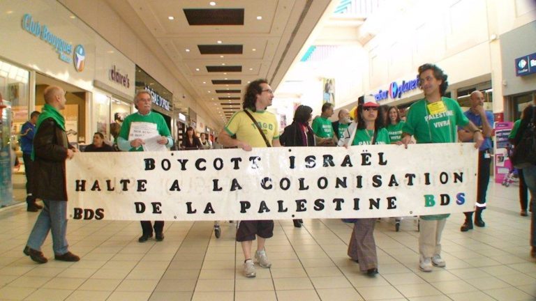 Action BDS Au Carrefour De Lormont Bordeaux CAPJPO EuroPalestine