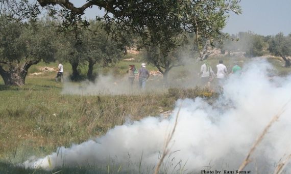 gaz_lacrymo_bi_lin.jpg