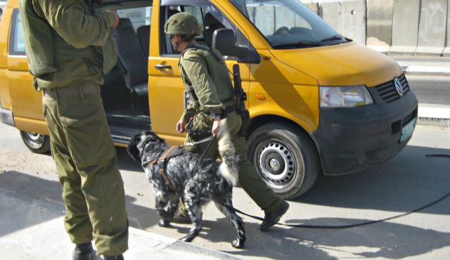 chiens_arme_e_israe_lienne.jpg