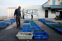 Gaza_pecheurs_2_re_duit-2.jpg