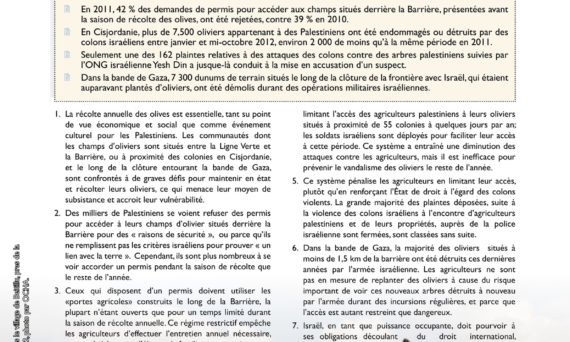 Information-sur-la-recolte-des-olives-oct12-1.jpg