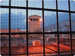 prison_israel.jpg