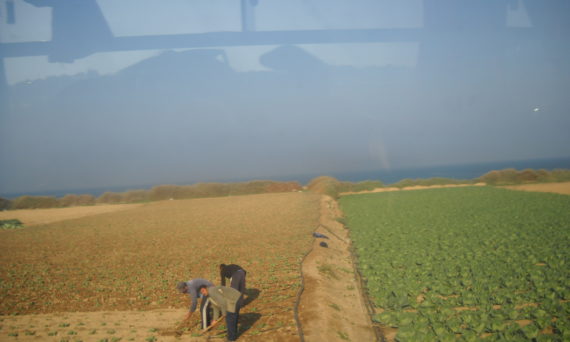 agriculteurs_en_train_de_cultiver.jpg