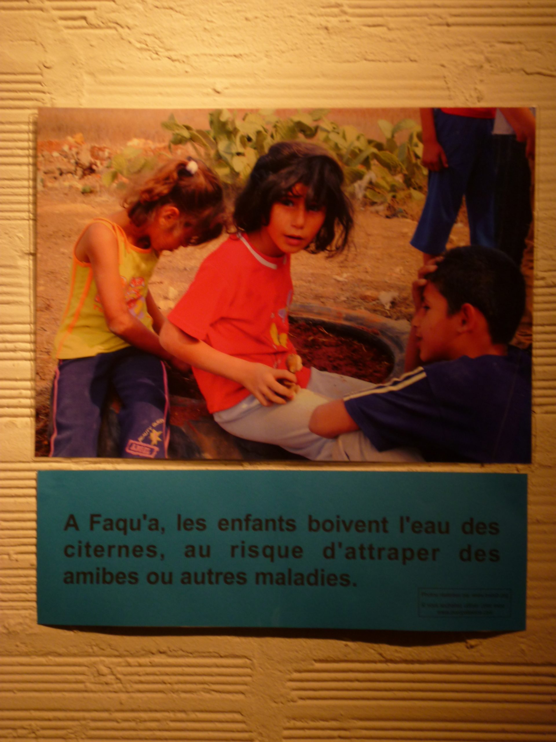 expo_eau_librairie_3.jpg