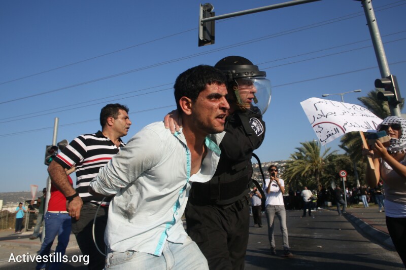 manif_arara2.jpg
