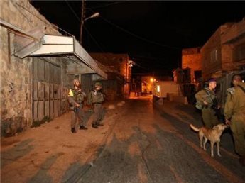 Hebron_soldats_chiens-3.jpg