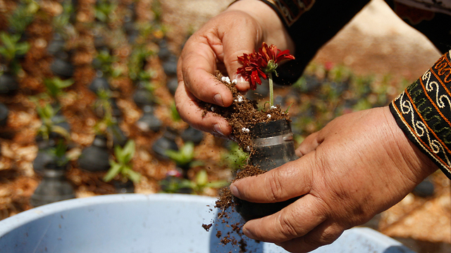 lacrymo_bilin_jardin_bis.jpg