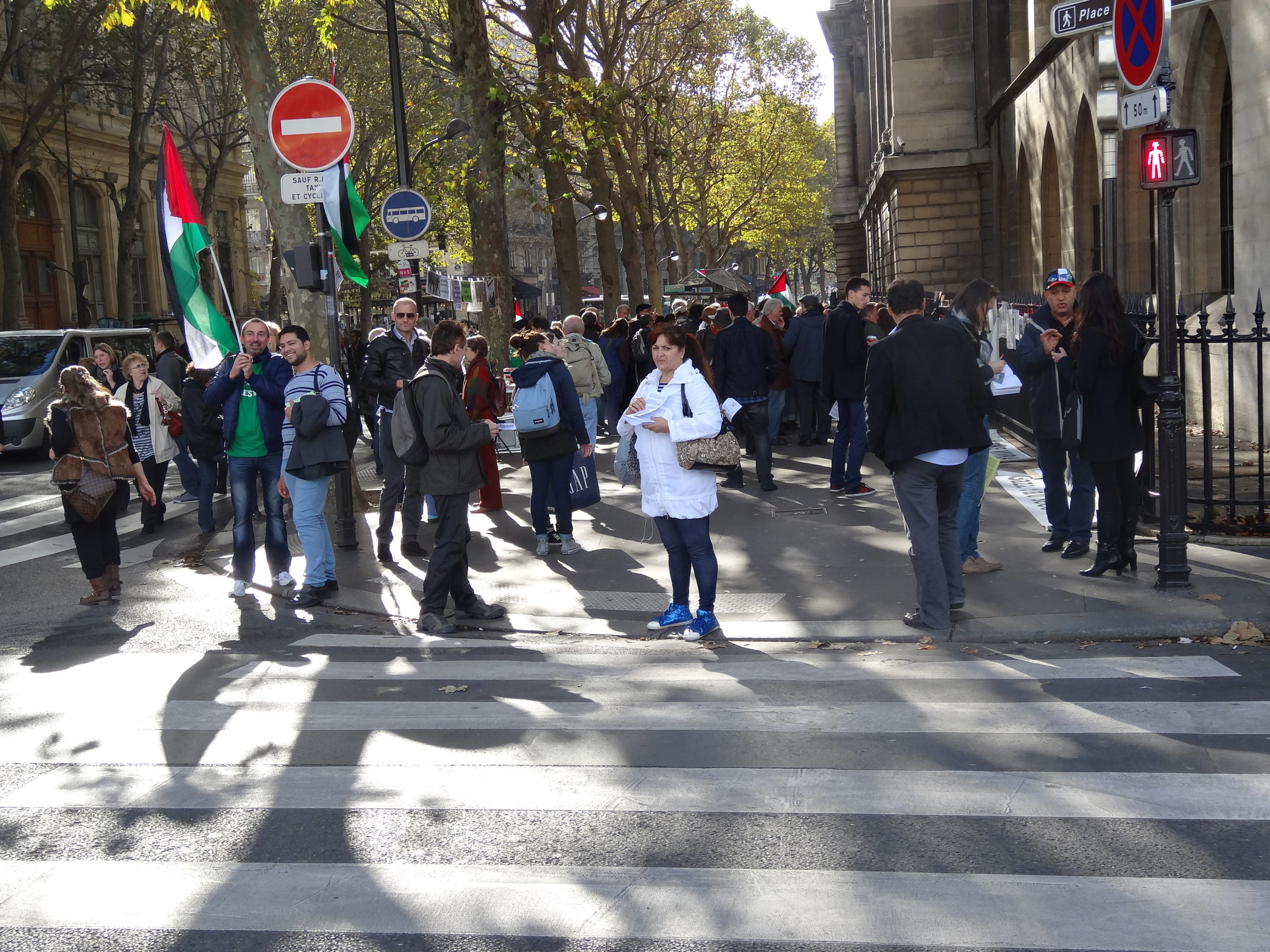 proce_s_BDS_Paris_rassemblement.jpg