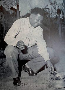 Mandela_bru_le_son_passeport_en_1960.jpg