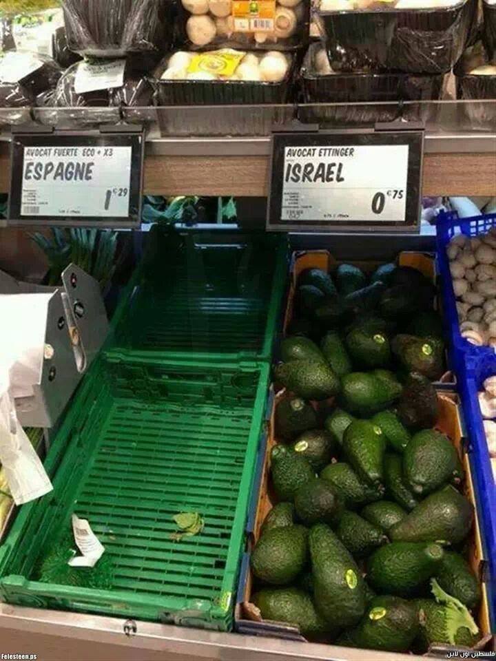 photo_avocats.jpg