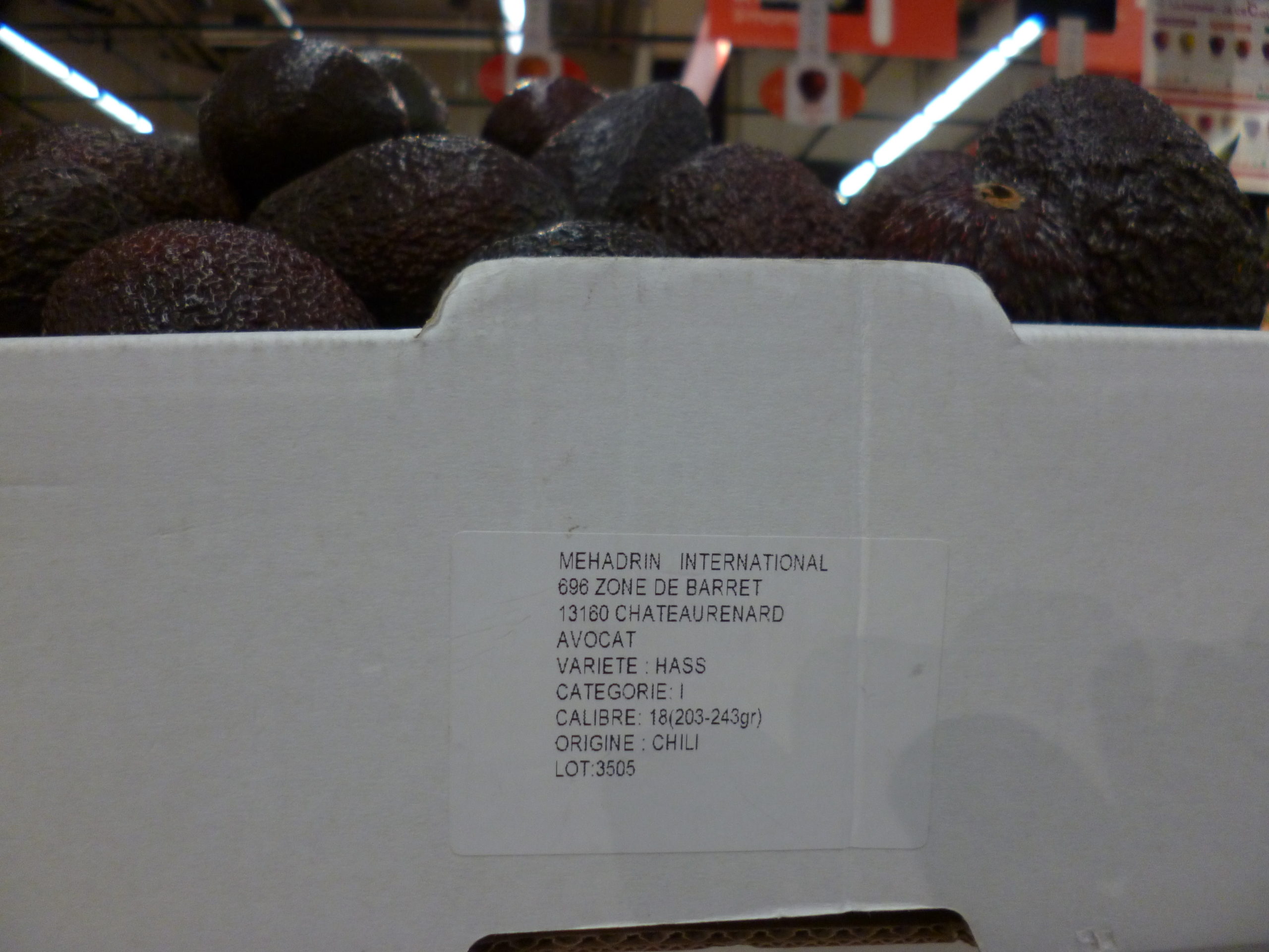 avocat_chili_mehadrin_carton.jpg