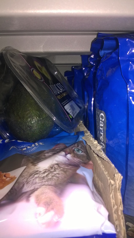 avocats_e_crasent_litie_re.jpg