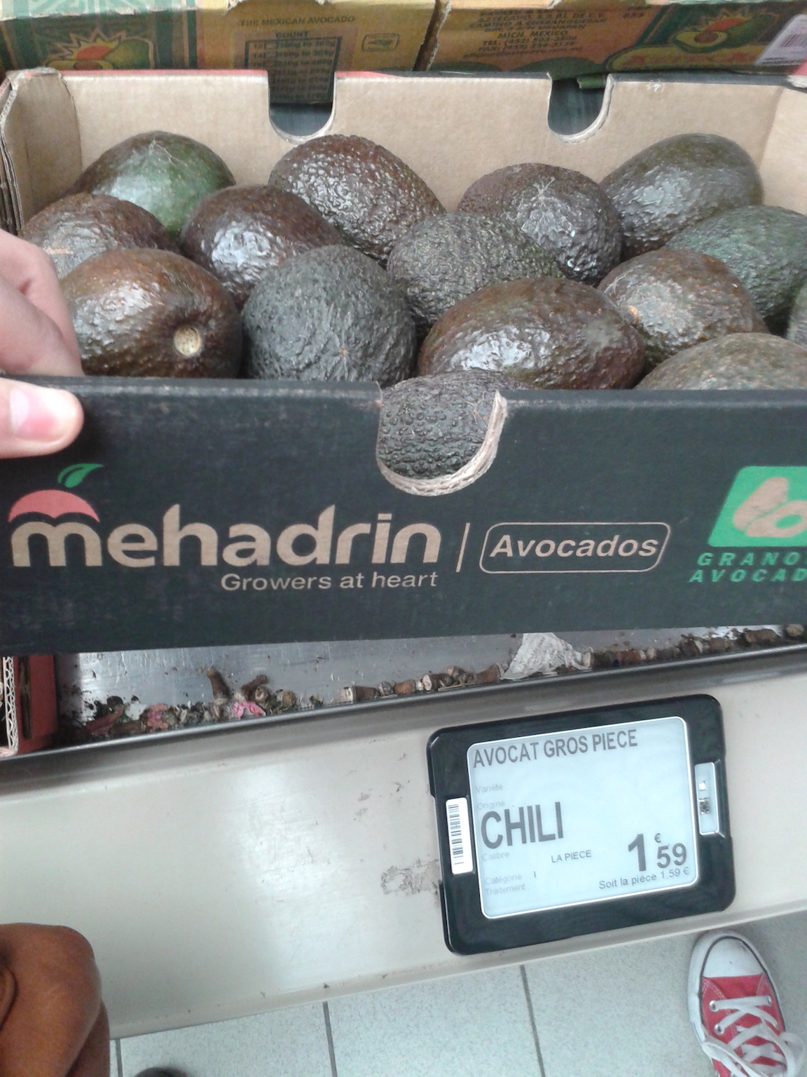 avocats_chili_mehadrin_carrefour.jpg