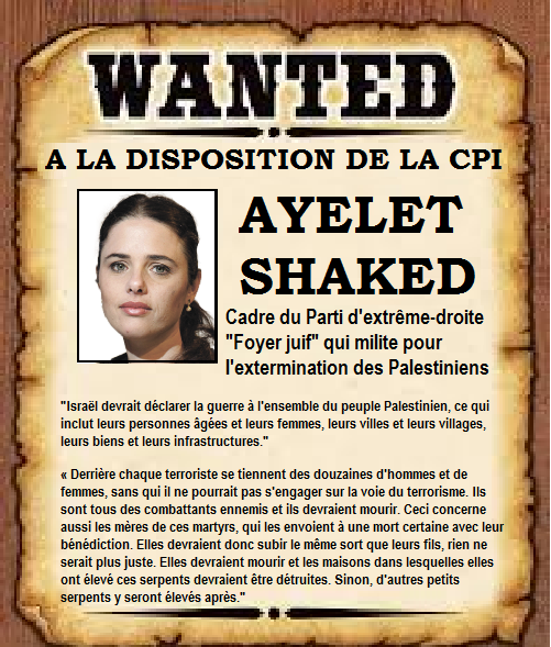 wanted_cpi_shaked.png