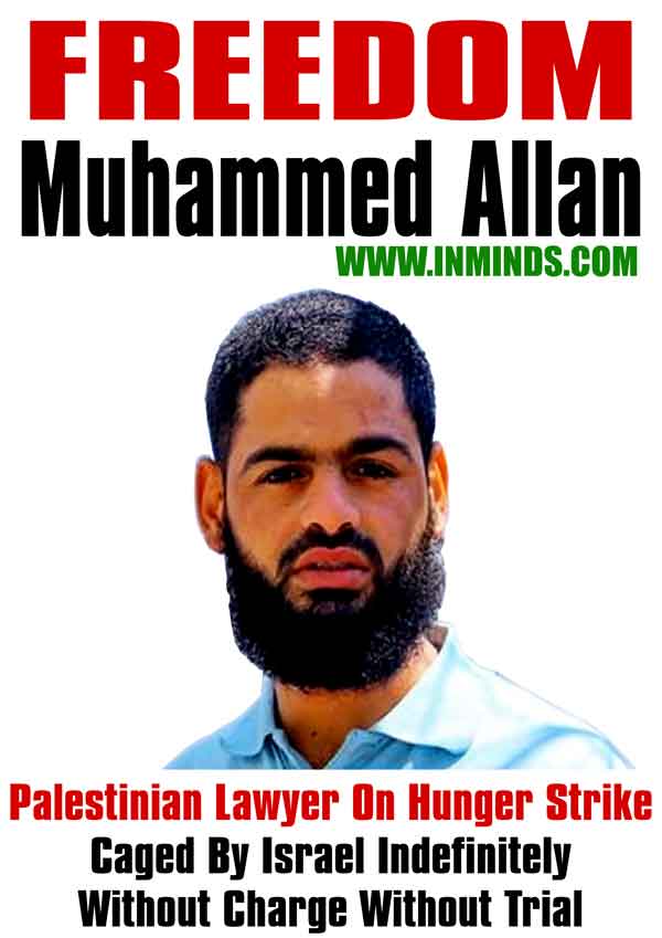 allan.jpg