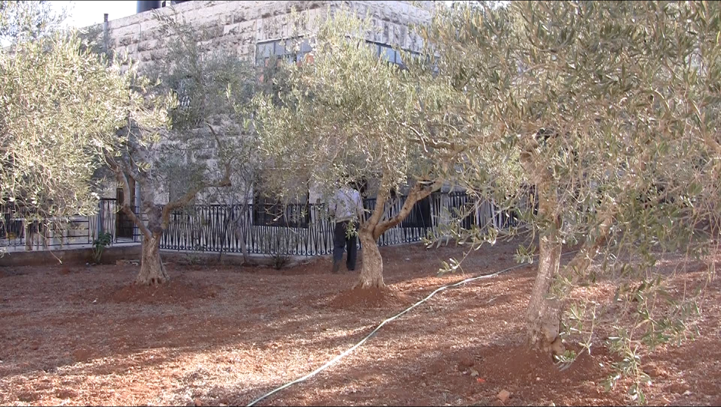 maison_du_realisateur_a_al_bireh.png