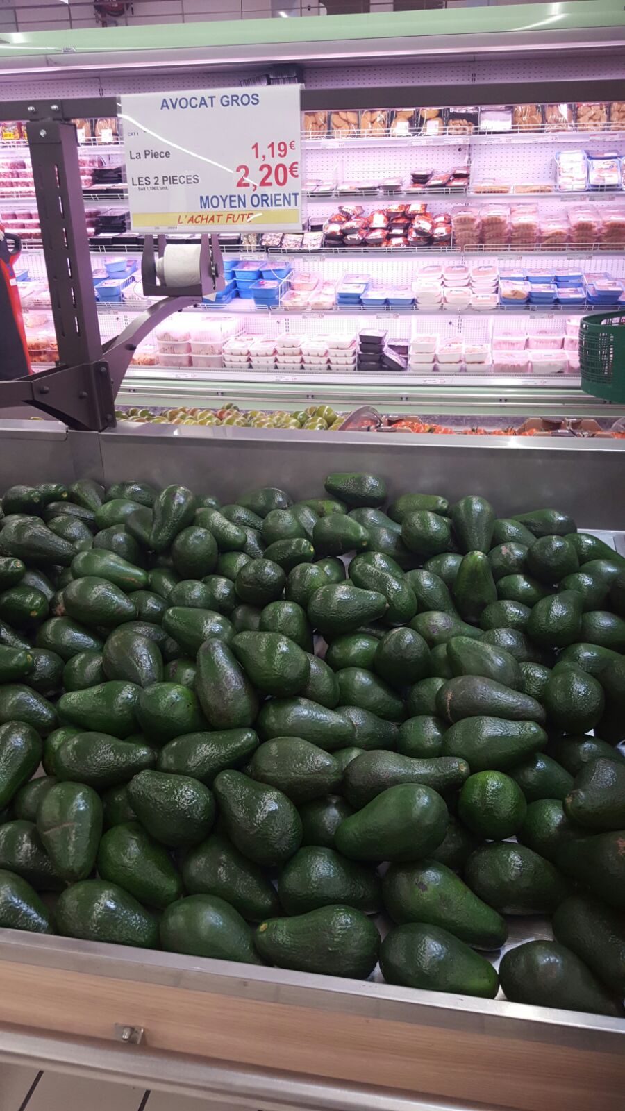 avocats_moyen_orient.jpg