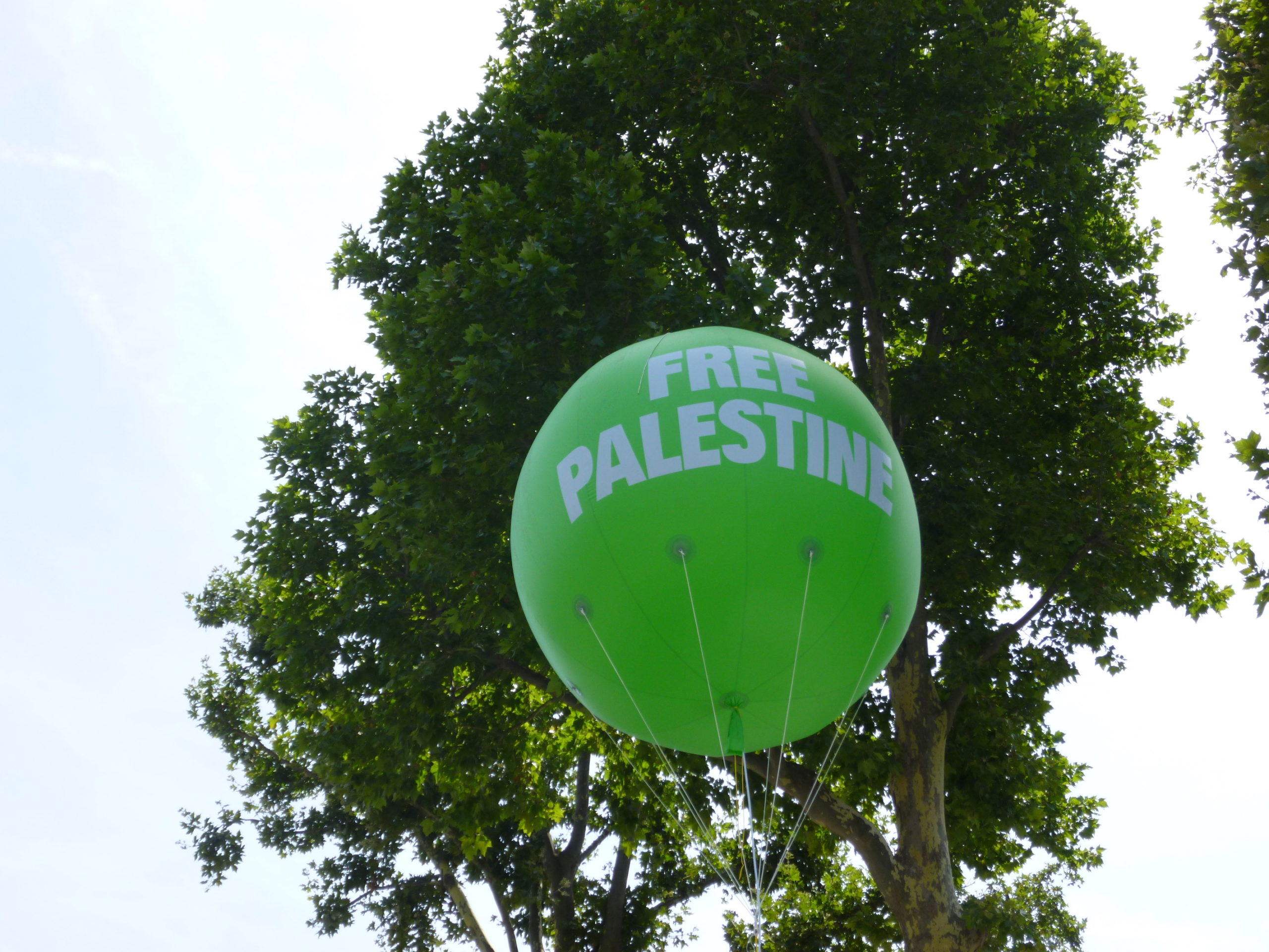 ballon_free_palestine.jpg