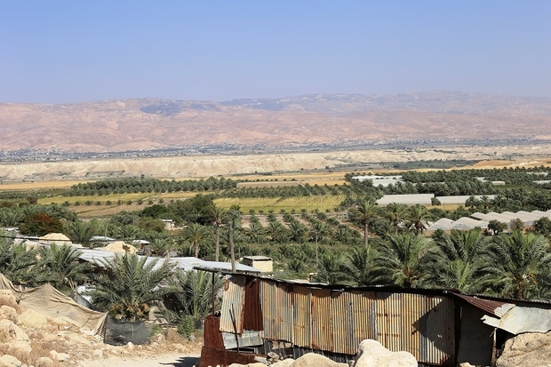 al_zubeidat.jpg
