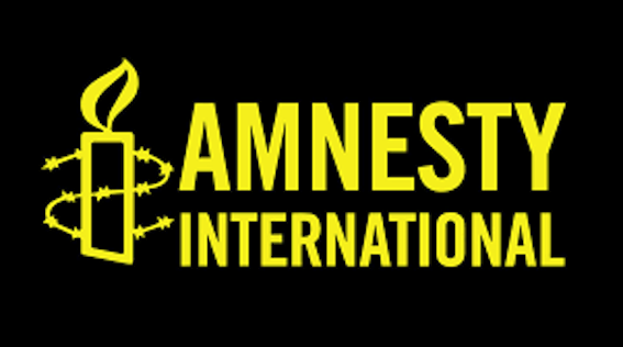 logo_amnes.png
