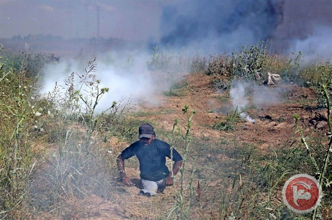 abu_thuraya_gaz_lacrymo.jpg