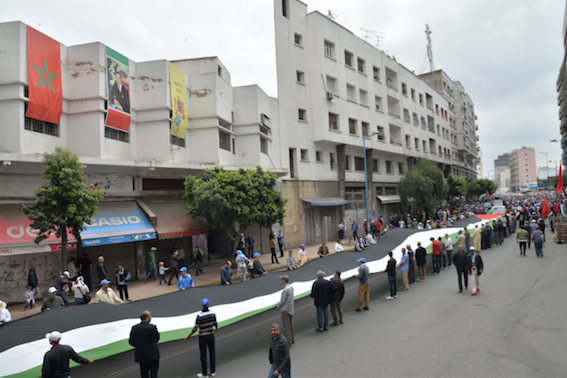 manif_casa_20_mai_drapeau_tre_s_long.png