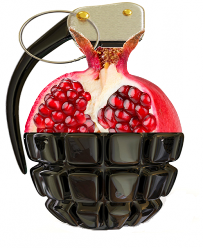 grenade_israe_lienne_lidk-2-ea4f3.png