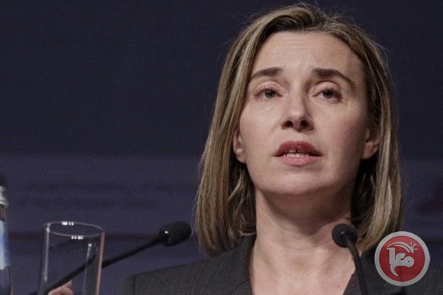 salope_federica_morgherini.jpg
