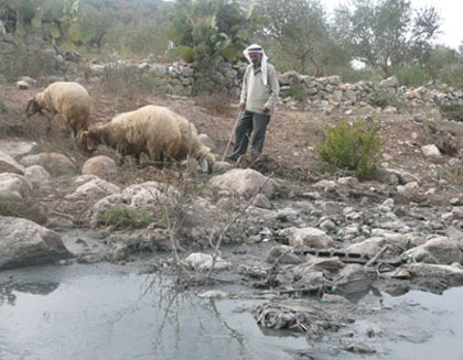 cisjordanie_eaux_pollue_e_zone_industrielle.jpg