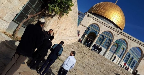 colons_al_aqsa.jpg