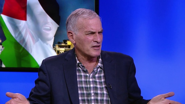 norman_finkelstein_drapeau_palestinien.jpg