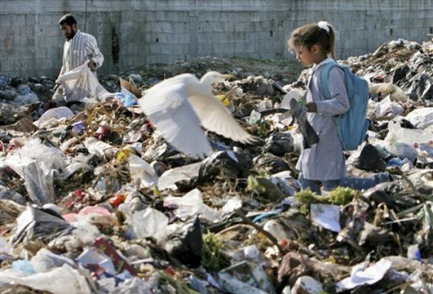 gaza_recherche_de_nourriture_de_combre.jpg