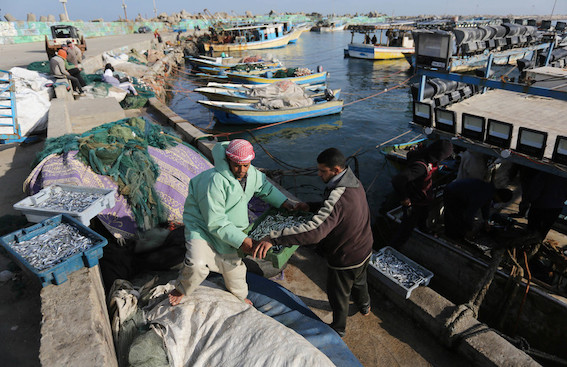 port_gaza_pe_cheurs.jpg
