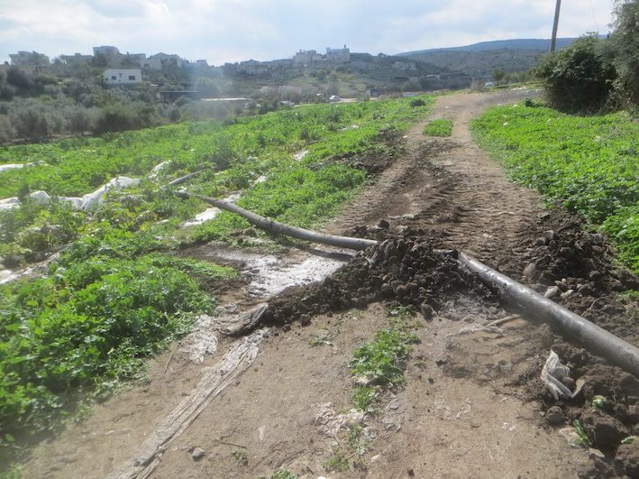 canalisation_de_truite_valle_e_jourdain-2.jpg