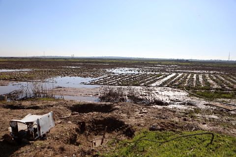 inondation_cultures_gaza.jpg
