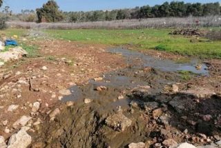 Cisjordanie Palestine coronavirus attaques colons
