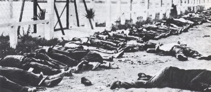 Célébration du 8 mai 1945. Les massacres de Sétif