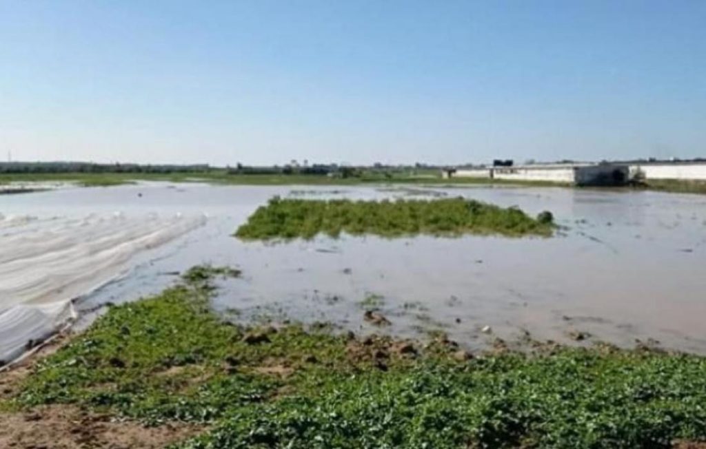 Israël inonde les terres agricoles de Gaza !