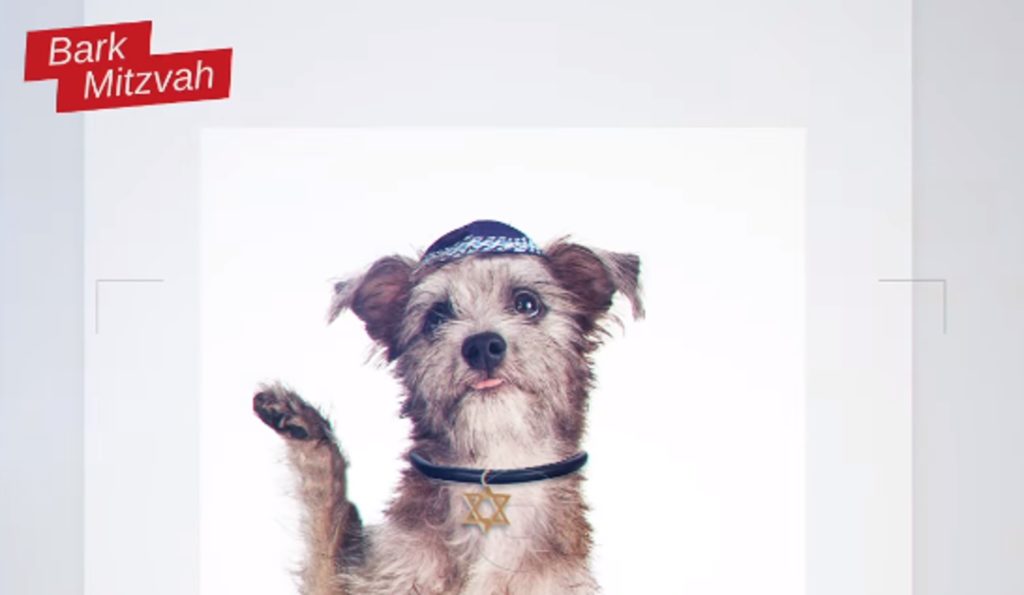 Israël : les chiens entrent en campagne électorale