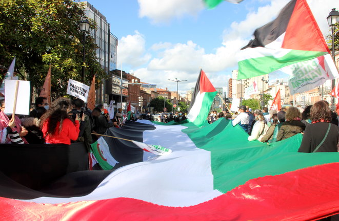 Toulouse : des centaines dans la rue pour soutenir la résistance palestinienne