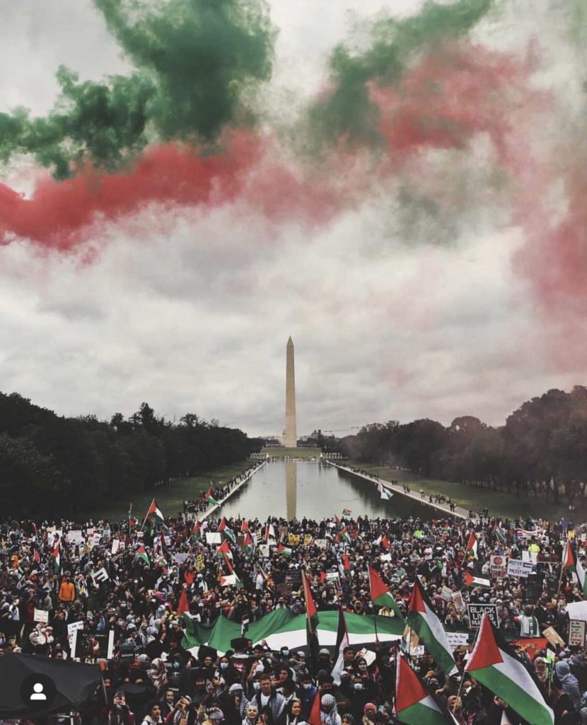 L'incroyable photo de la manif pour la Palestine à Washington !