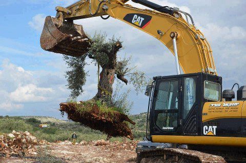 BDS : Les bulldozers vendus à Israël n'ont pas la cote : L'Eglise méthodiste désinvestit de Caterpillar